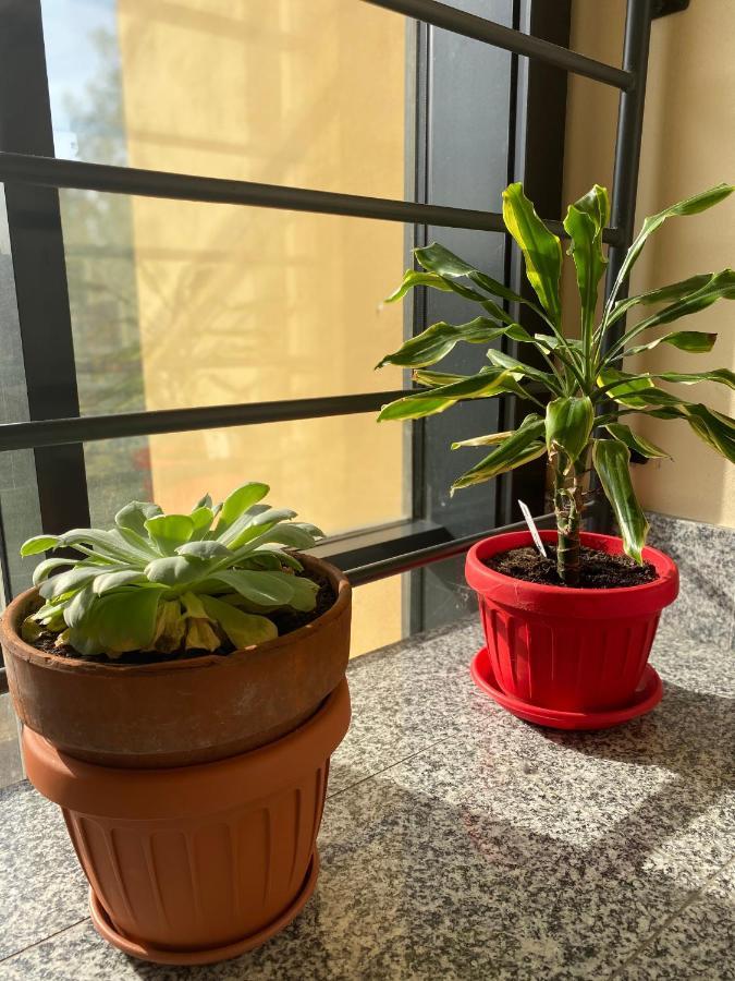 Appartamento Eliana Άστι Εξωτερικό φωτογραφία